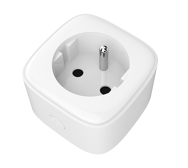 Plug