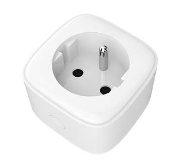 Plug